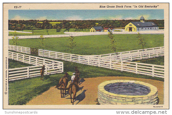 Kentucky Louisville Blue Grass Stock Farm Horses 1949 Curteich - Louisville