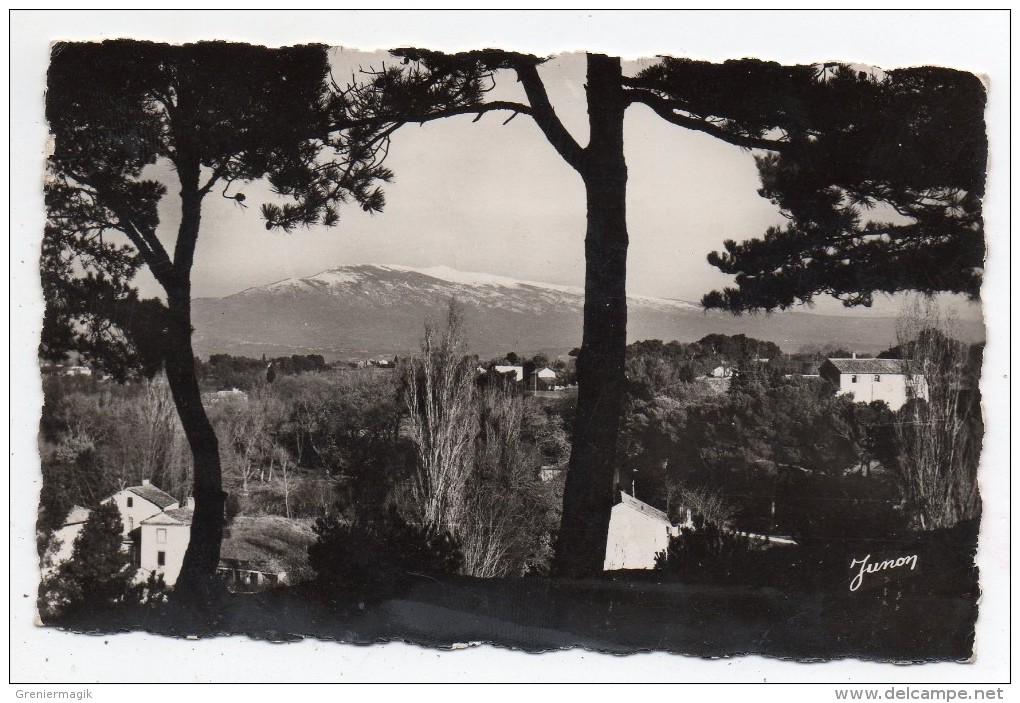 Cpsm 84 - Carpentras - Vue Sur Le Mont Ventoux - (9x14 Cm) - Carpentras