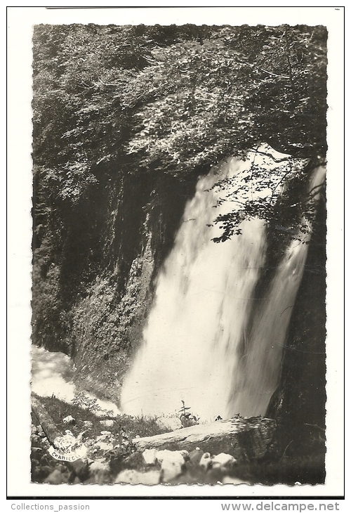 Cp, 64, Eaux-Bonnes, La Cascade Du Gros Hêtre - Eaux Bonnes