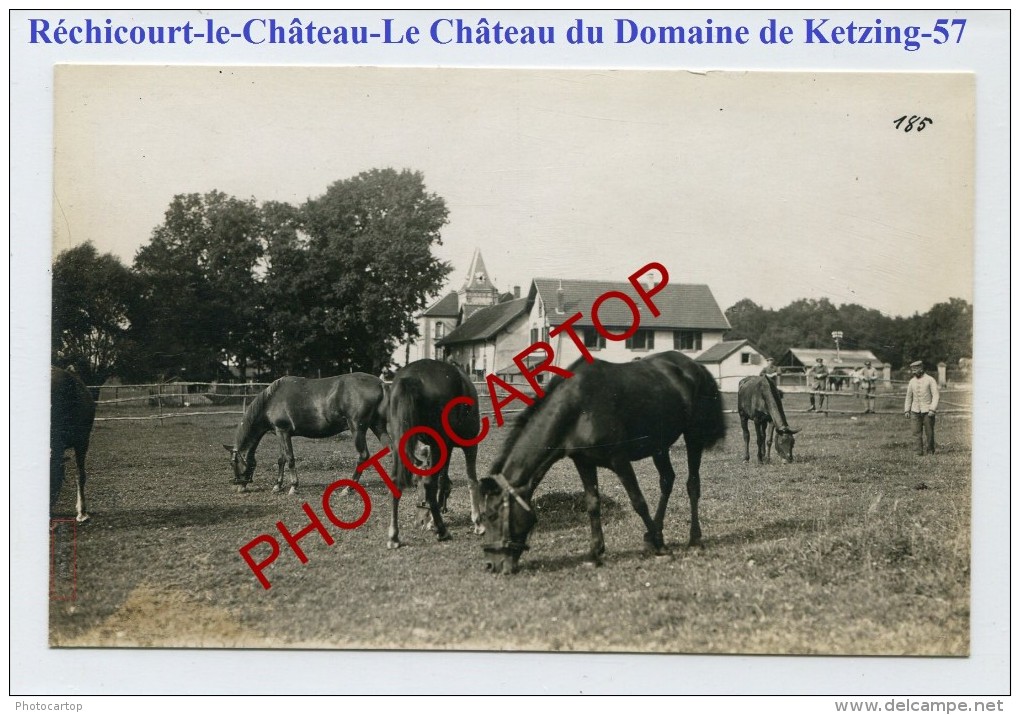 RECHICOURT Le CHATEAU-Chateau Domaine KETZING-Lazarett 4-Medecine-Carte Photo Allemande-Guerre 14-18-1WK-France-57- - Rechicourt Le Chateau