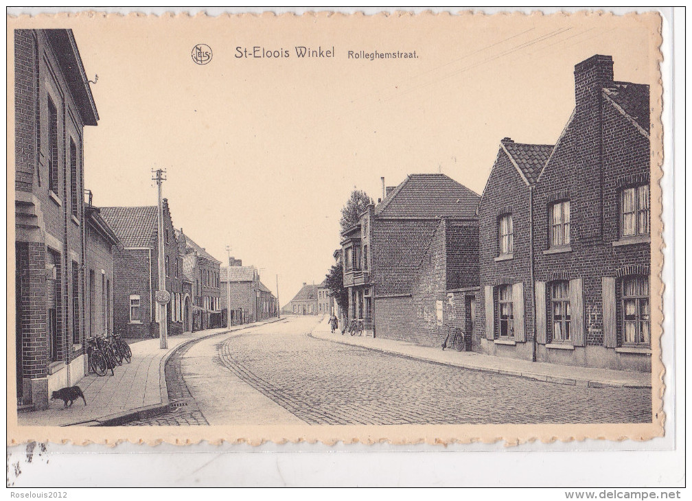 SINT-ELOOIS-WINKEL : Rolleghestraat - Ledegem