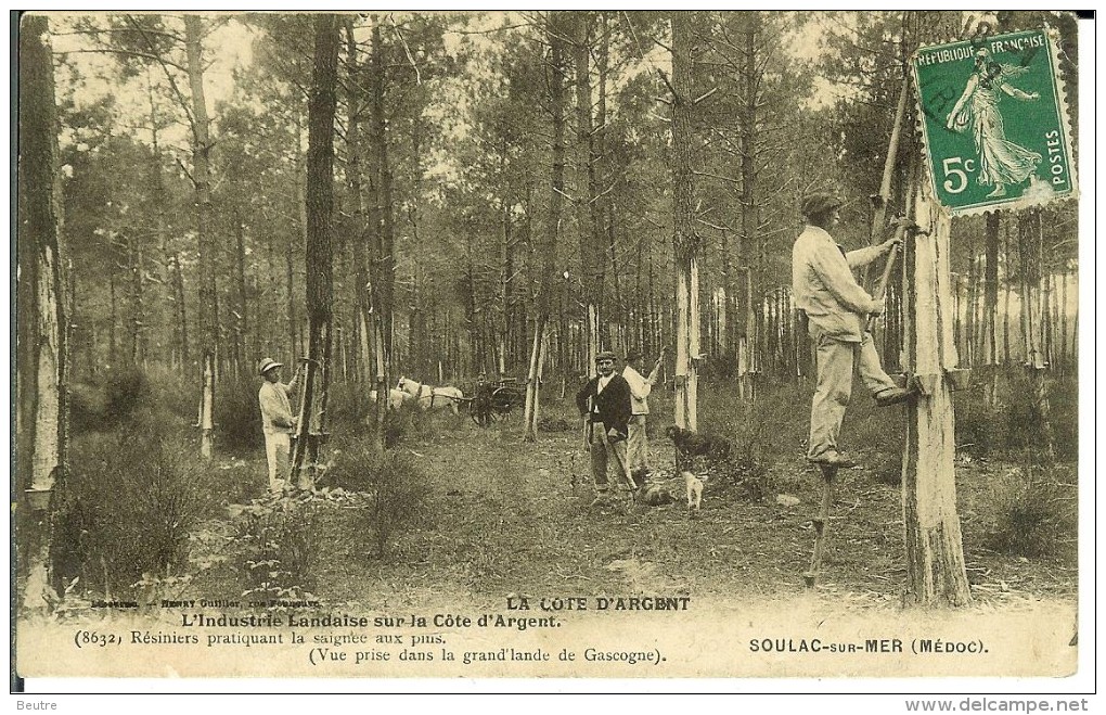 CPA SOULAC-SUR-MER Résiniers Pratiquant La Saignée Aux Pins 11247 - Soulac-sur-Mer