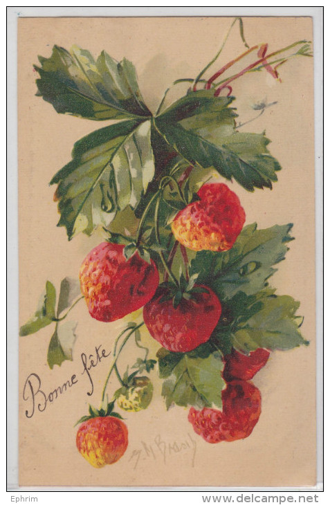 Illustrateur Brasib (?) - Brasil (?) - Type Catharina Klein - Fraises - G.O.M. - Klein, Catharina