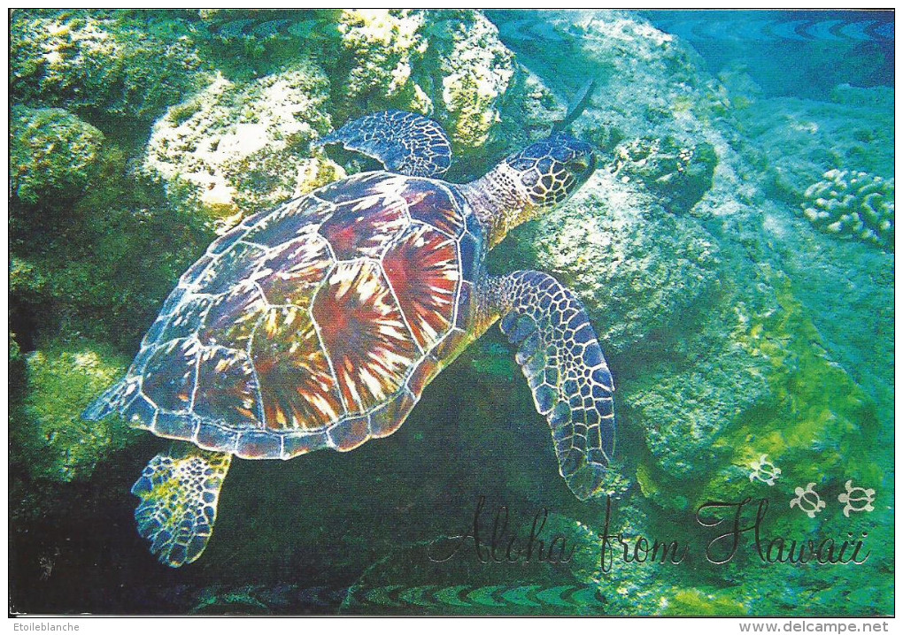 Tortue De Mer, Hawai / Hawaiian Green Sea Turtle / Voyagé Timbre Honolulu - (espèce Aquatique Protégée) - Schildkröten