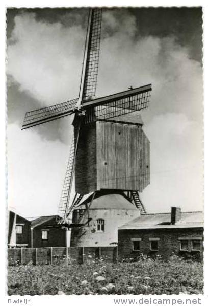 MEULEBEKE (W.Vl.) - Molen/moulin - Oudere Zwart-wit Kaart Van De Herentmolen, Een Staakmolen Op Torenkot (ca. 1960) - Meulebeke