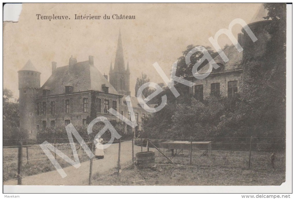 Cpa   Templeuve . Interieur Du Chateau - Autres & Non Classés