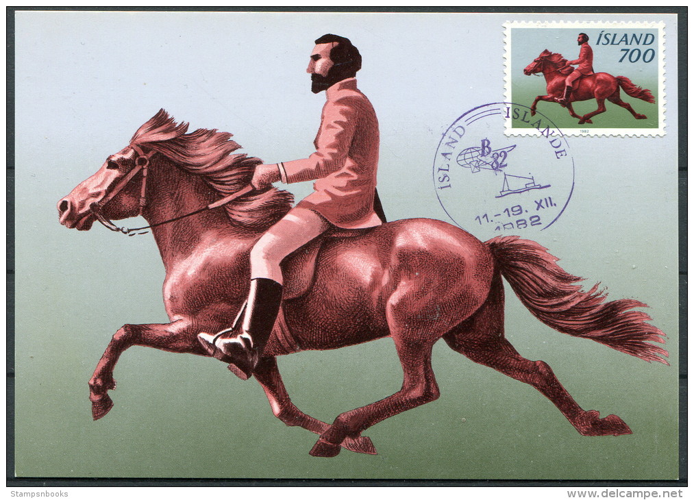 1982 Iceland Horse Maxicard - Cartoline Maximum