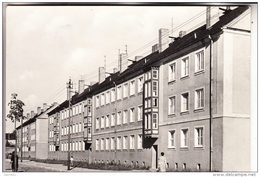 0-3400 ZERBST, Brüderstrasse, 1966 - Zerbst