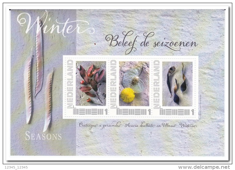Nederland , Postfris MNH, Seasons Winter - Personalisierte Briefmarken