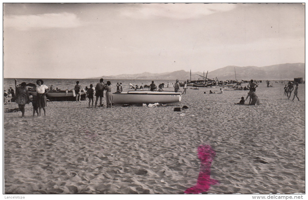 66 - CANET PLAGE / LA PLAGE ET LES ALBERES - Canet En Roussillon