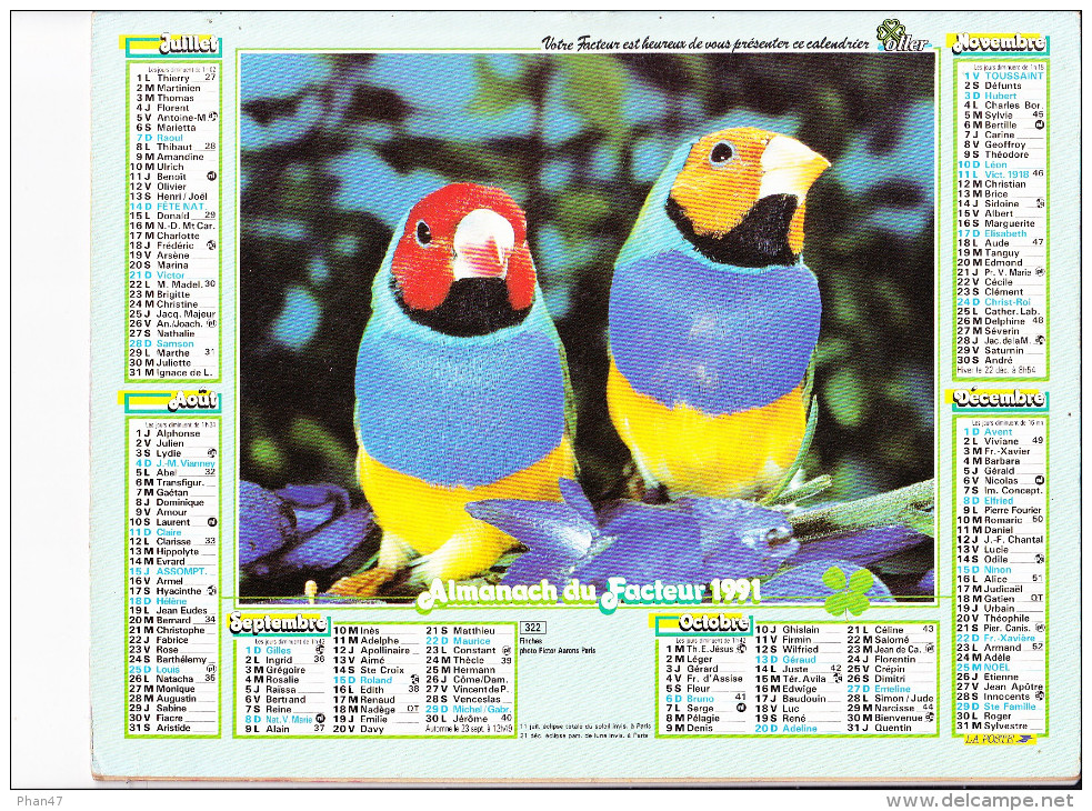 Almanach Des PTT 1991, Perroquet / Couple De Finches, Oiseaux, OLLER - Grand Format : 1991-00