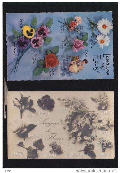 Fantaisie - Divination - Lot De  2 CP - Langage  Des Fleurs  Amour  Botanique - Sonstige & Ohne Zuordnung