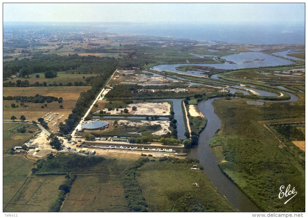 Le Teich - Le Parc Ornithologique, Vue D'ensemble Au Fond Bassin Arcachon - Autres & Non Classés