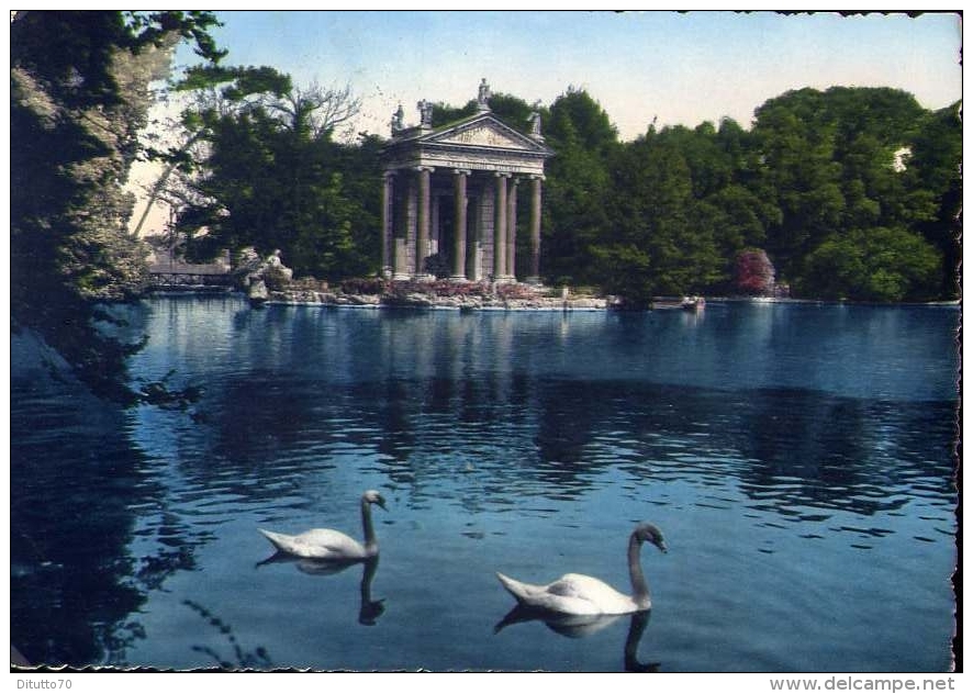Roma - Villa Borghese - Il Laghetto - 1957 - Formato Grande Viaggiata - Parques & Jardines