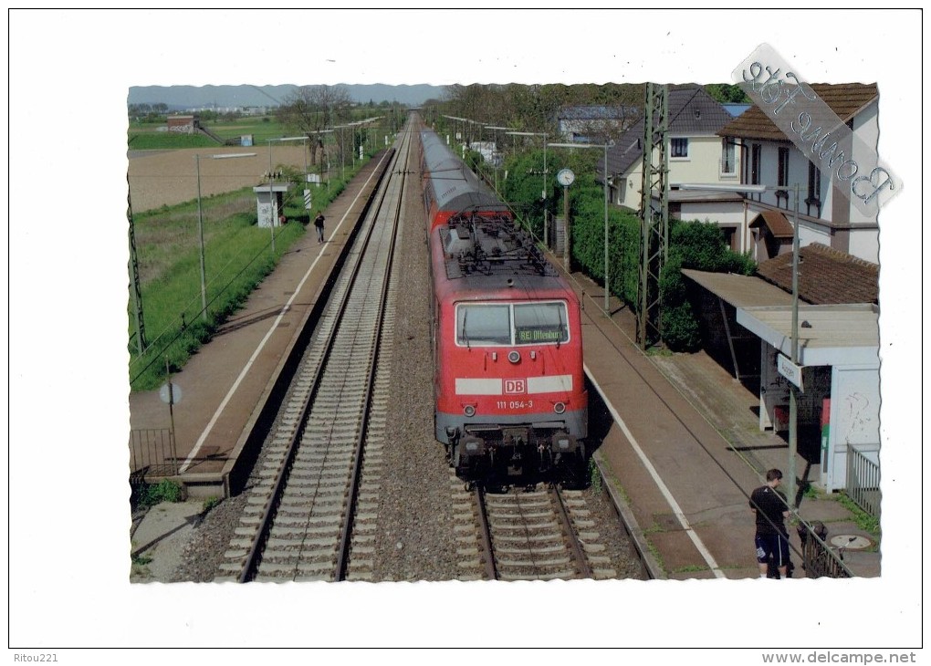 ALLEMAGNE - Müllheim  - TRAIN 111 054-3 - 2008 - GARE ANIMATION - Muellheim