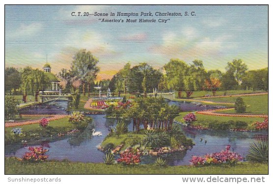 Scene In Hampton Park Charleston South Carolina Americasw Most Historic City - Charleston