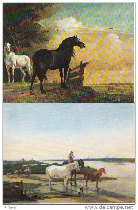 CHEVAUX : Lot De 14 Cartes Postales - Caballos