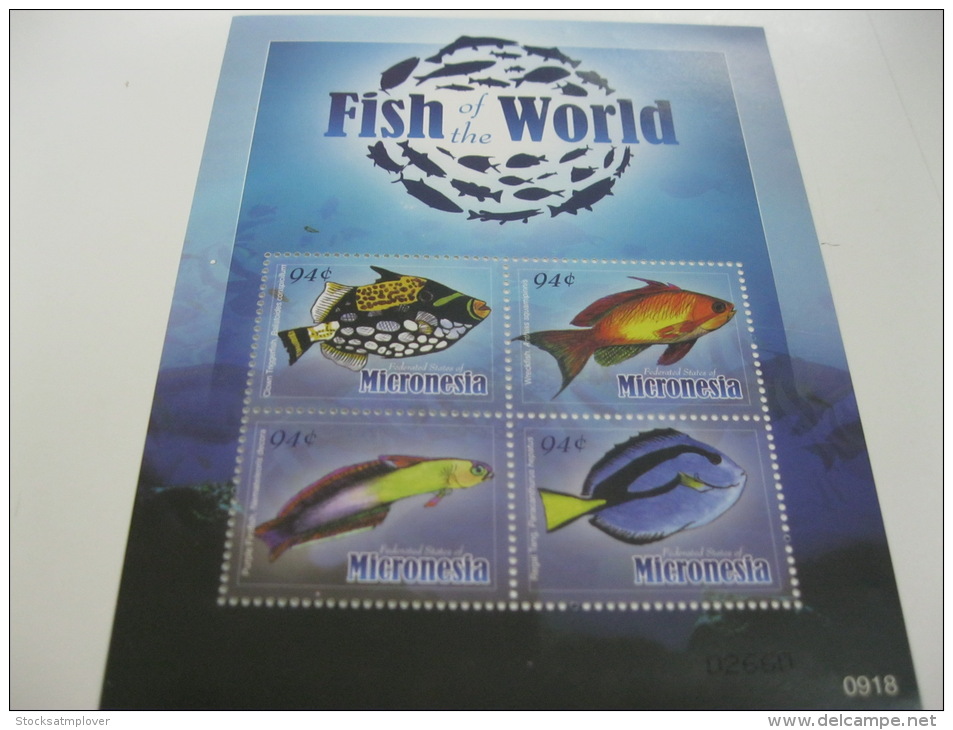 Micronesia-Fish-Marine Life - Pesci