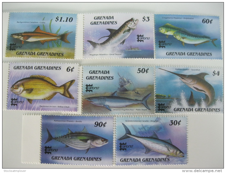 Grenada Grenadines-Fish-Marine Life - Fishes