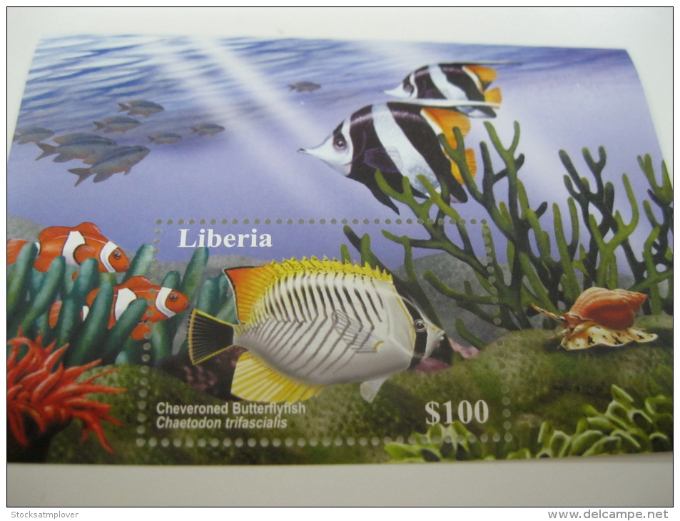 Liberia-Fish-Marine Life - Poissons