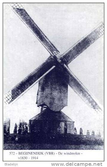 BEGIJNENDIJK (Vlaams-Brabant) - Molen/moulin - Blauwe Postkaart Ons Molenheem Van De Houten Molen (repro Oude Postkaart) - Begijnendijk