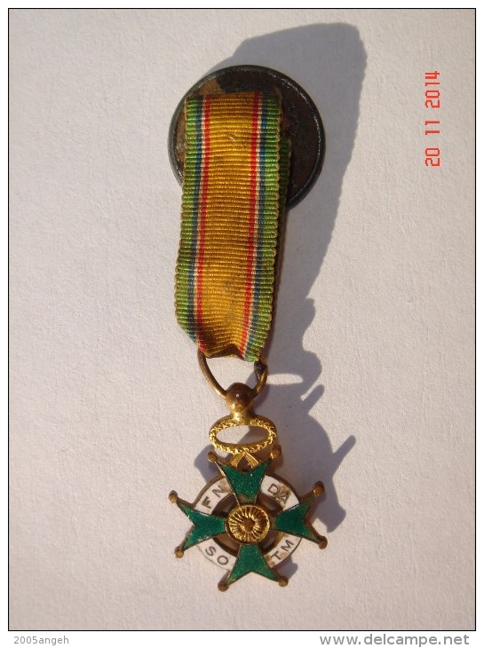 Médaille De La FNDASOTM En Réduction - Diam. 16 Mm - Email Usé Par Endroit Ruban Sale - Dan - Autres & Non Classés