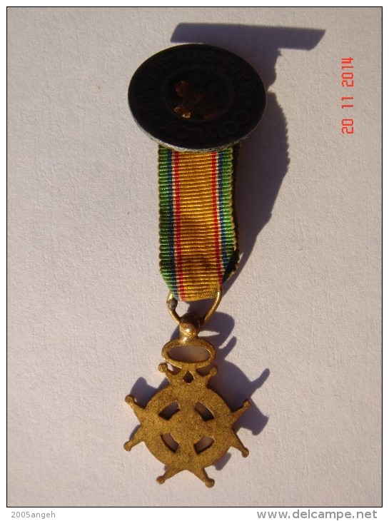 Médaille De La FNDASOTM En Réduction - Diam. 16 Mm - Email Usé Par Endroit Ruban Sale - Dan - Autres & Non Classés