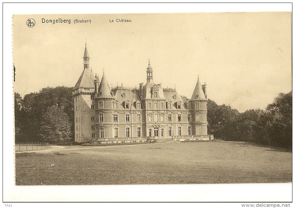 S1686 - Dongelberg - Le Château "Nels Nr 114" - Jodoigne