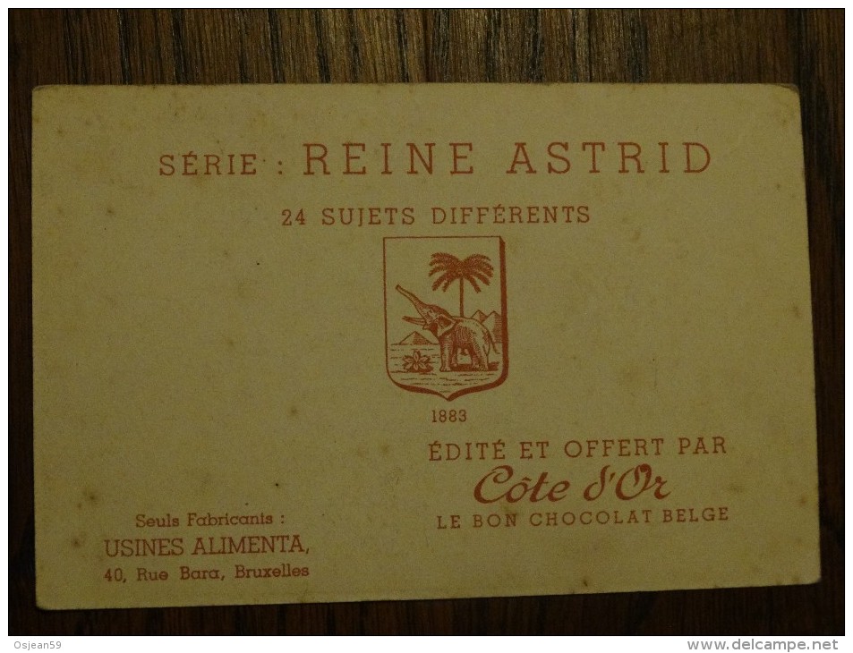 Cote D´or  Série Reine Astrid N°14 - Chocolat