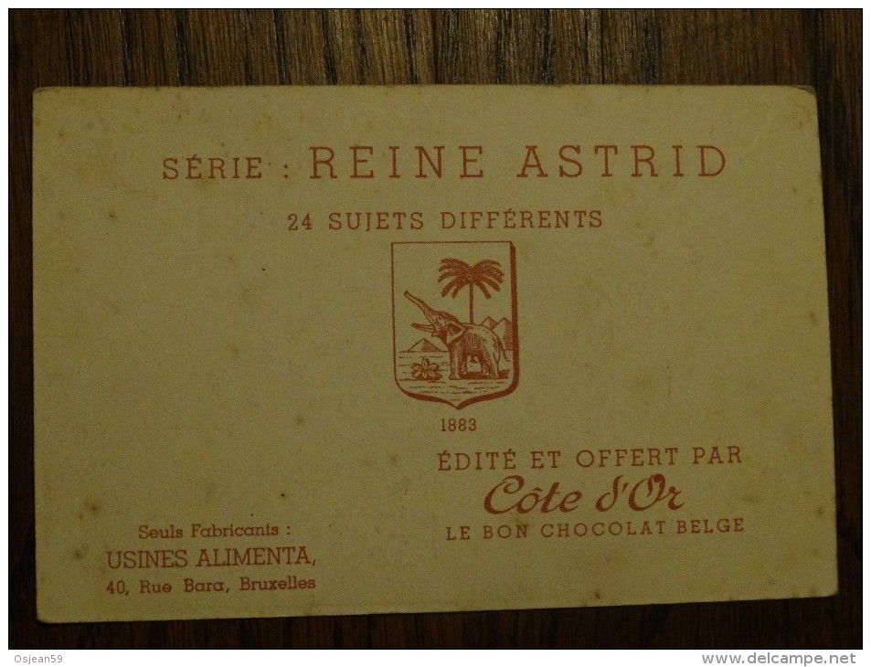 Cote D´or  Série Reine Astrid N°14 - Chocolade