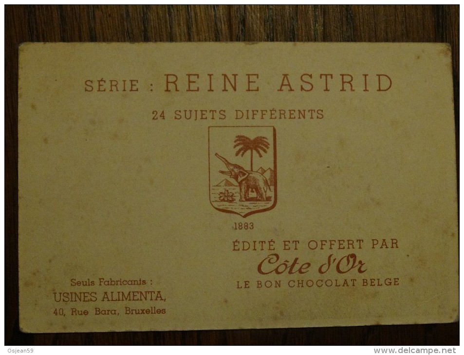 Cote D´or  Série Reine Astrid N°5 - Chocolate