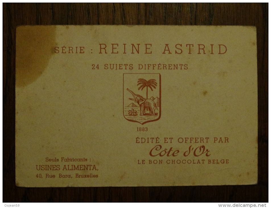 Cote D´or  Série Reine Astrid N°15 - Chocolade