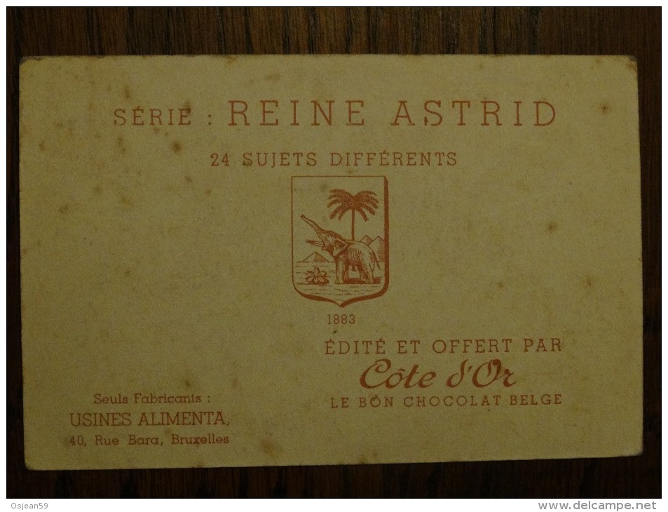 Cote D´or  Série Reine Astrid N°21 - Chocolat
