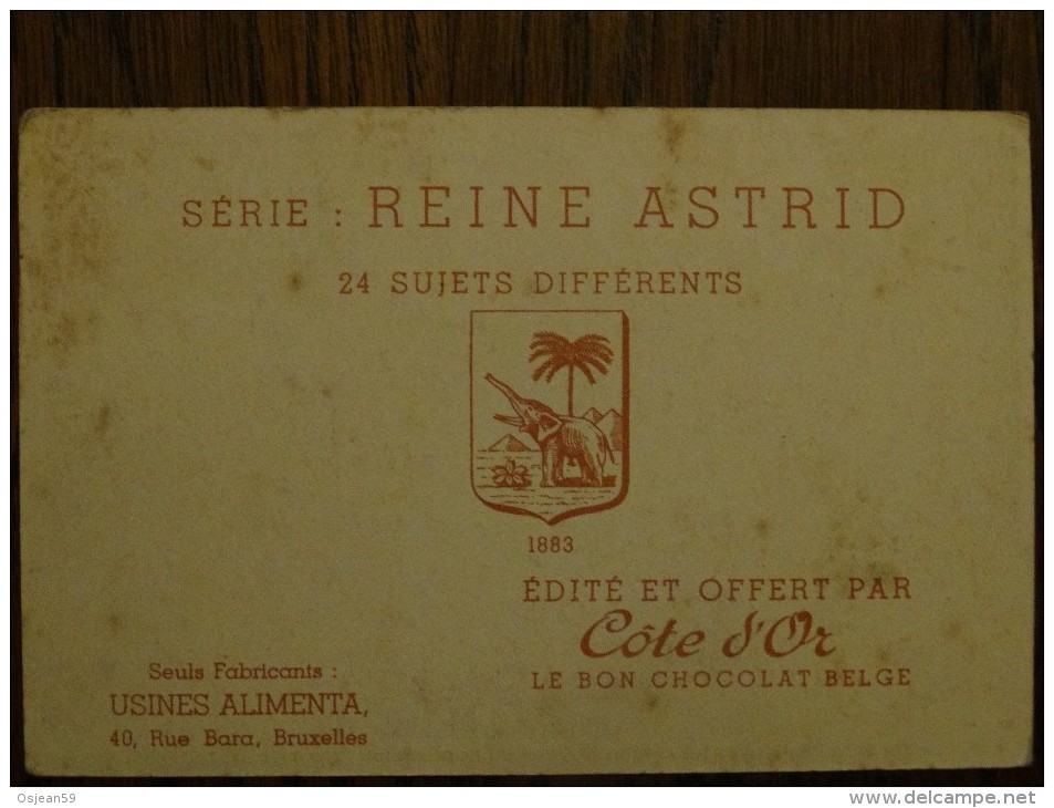 Cote D´or  Série Reine Astrid N°9 - Chocolat