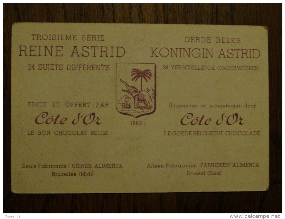 Cote D´or  3eme Série Reine Astrid N°2 - Chocolate