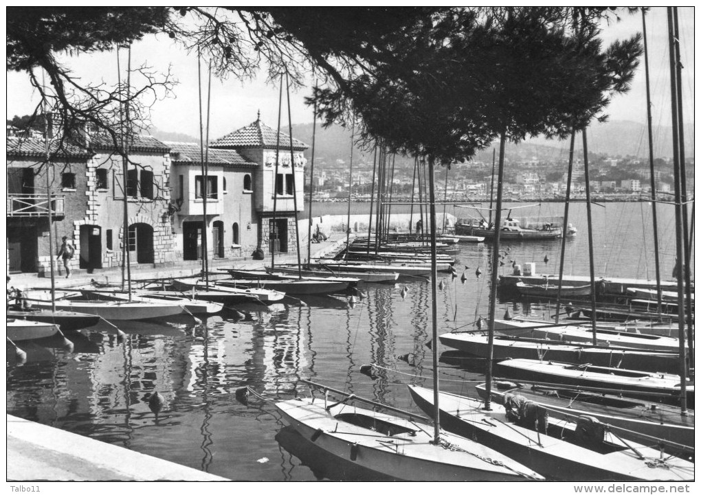 Ile De Bendor - Bandol - Mouillage Après Régates - Bandol