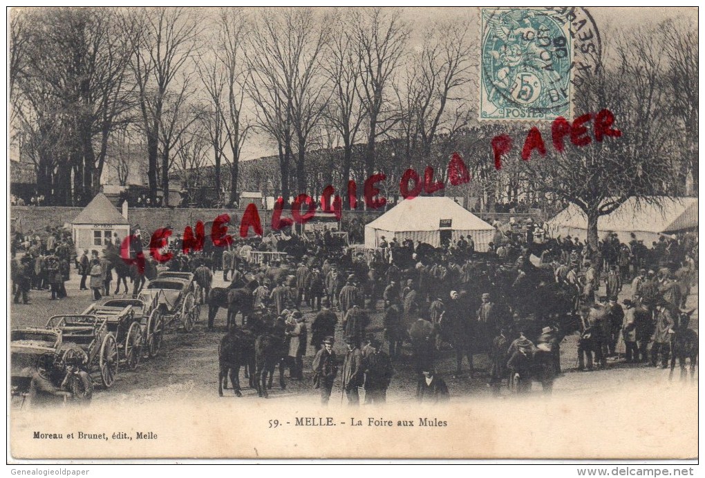 79 - MELLE - LA FOIRE AUX MULES -BELLE SCENE DE FOIRE -  1905 - Melle