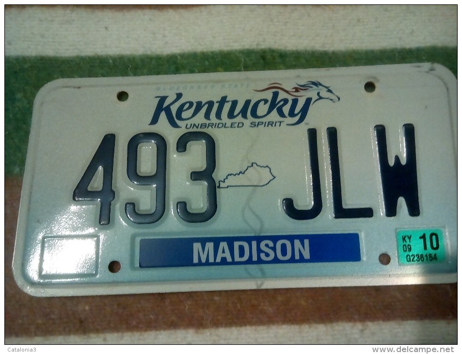 USA - PLACA MATRICULA ESTADOS UNIDOS - ORIGINAL - Number Plates