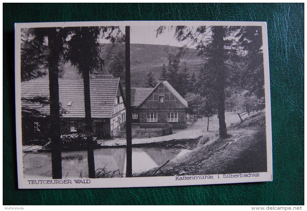 A095 - Teutoburger Wald - Kattenmühle Im Silberbachtal - Ungelaufen - Bad Meinberg