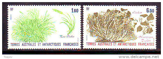 FR. ANTARCTIC - PLANTS - **MNH - Faune Antarctique