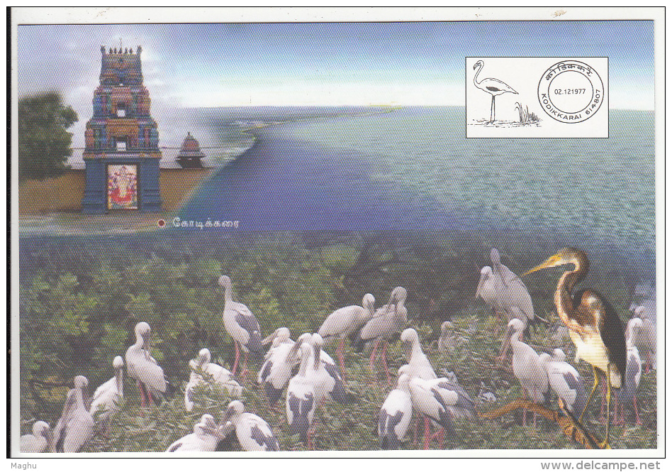 Kodikkarai, Dept. Of Post Picture Postcard, Pictorial Cancel Image, Bird Sancturay, Flamingo - Flamants