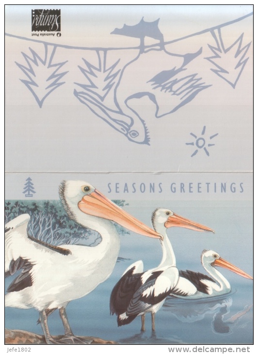 Fauna - Pelicans - Pelikanen - Pélicans