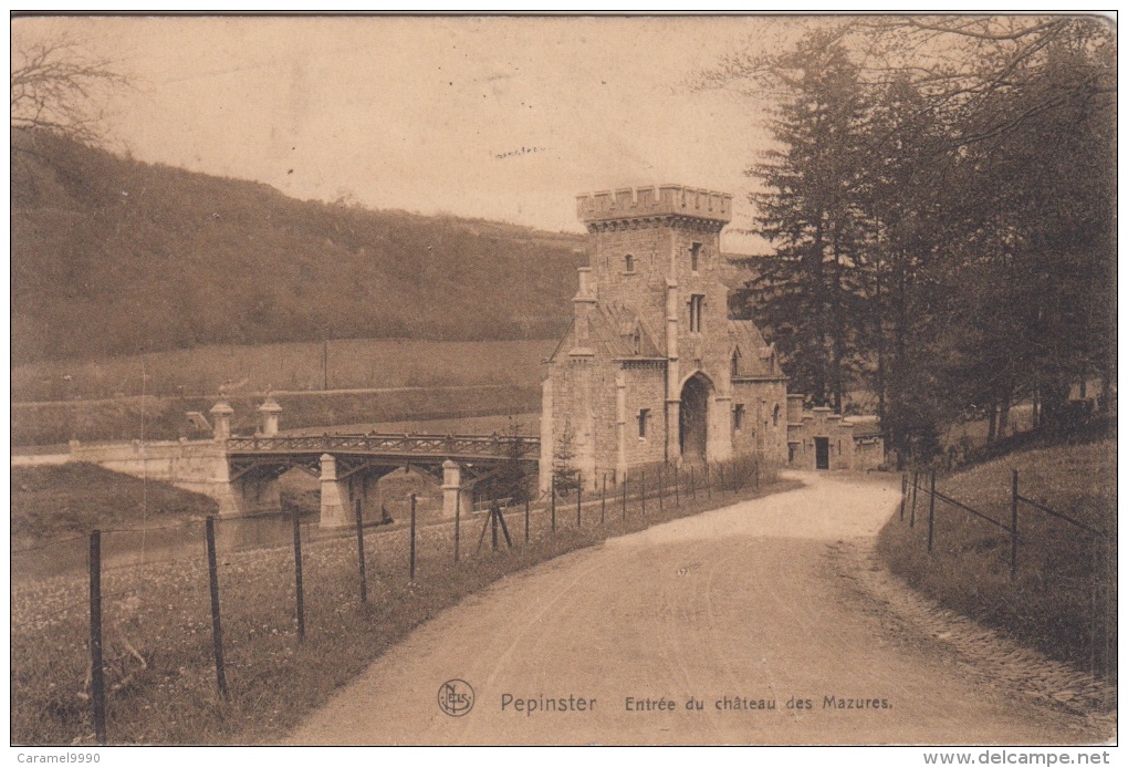 Pepinster    Entree Du Chateau Des Mazures        Scan 9539 - Pepinster