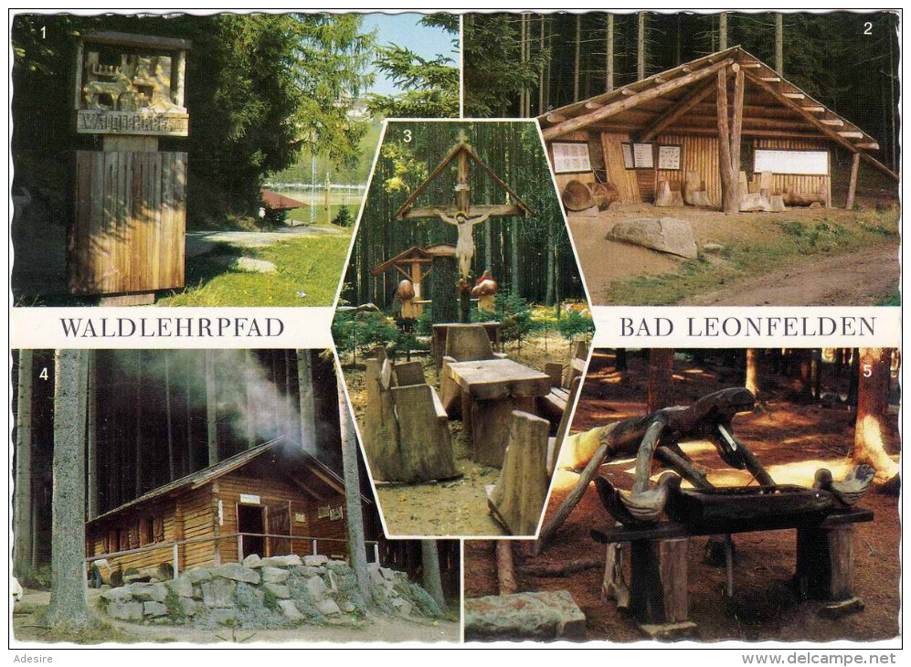 BAD LEONFELDEN Waldlehrpfad 1980 - Bad Leonfelden