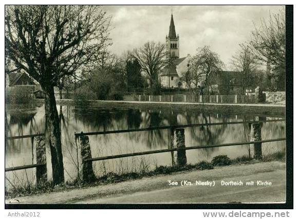 See Kreis Niesky Dorfteich Mit Kirche 1974 Sw - Niesky