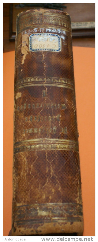 BIBLISCHEN GESCHICHTE 1877 - Old Books