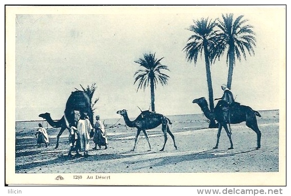 Postcard RA001729 - African Men With Camel - África