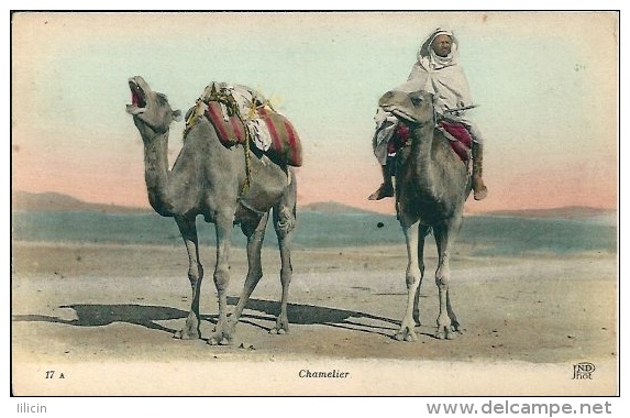 Postcard RA001730 - Middle East Man With Camels - África