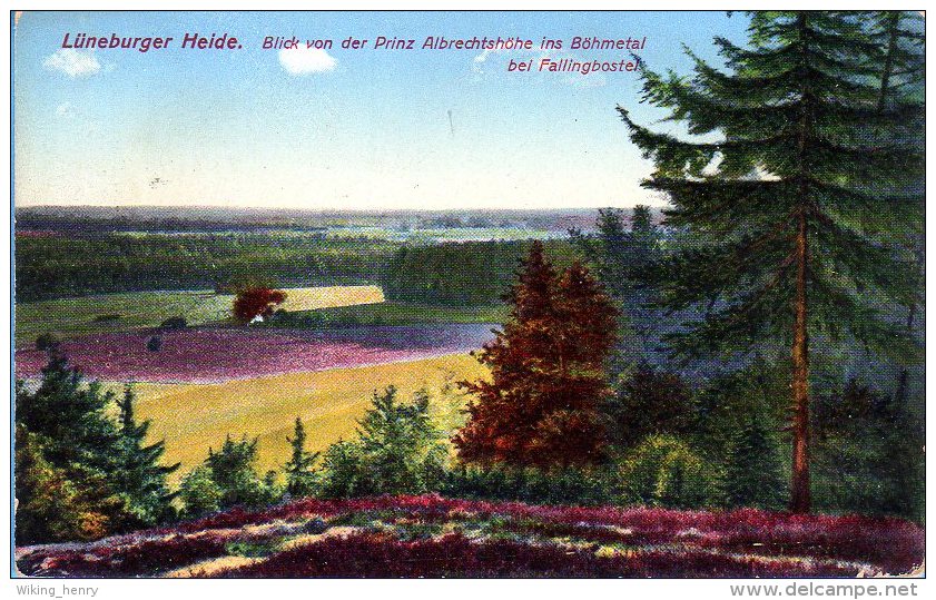 Lüneburger Heide - Blick V D Prinz Albrechtshöhe Ins Böhmetal - Lüneburger Heide