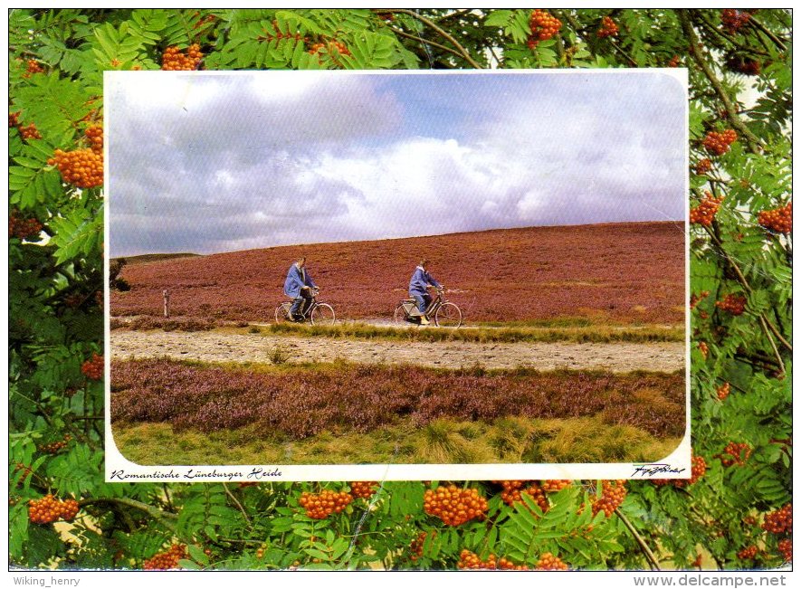 Lüneburger Heide - Fahrradtour Im Naturschutzgebiet - Lüneburger Heide